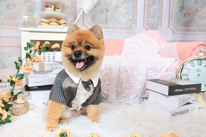 フォトギャラリー5