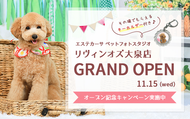 エステカーサペットフォトスタジオ リヴィンオズ大泉店 GRAND OPEN