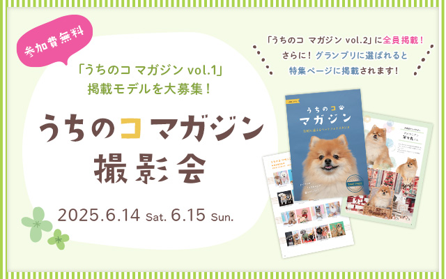 うちのコマガジン撮影会