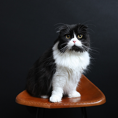 フォトギャラリー2