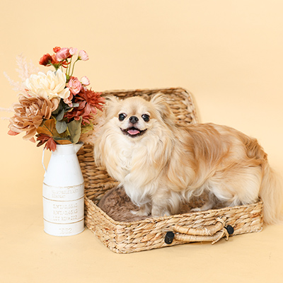 フォトギャラリー1