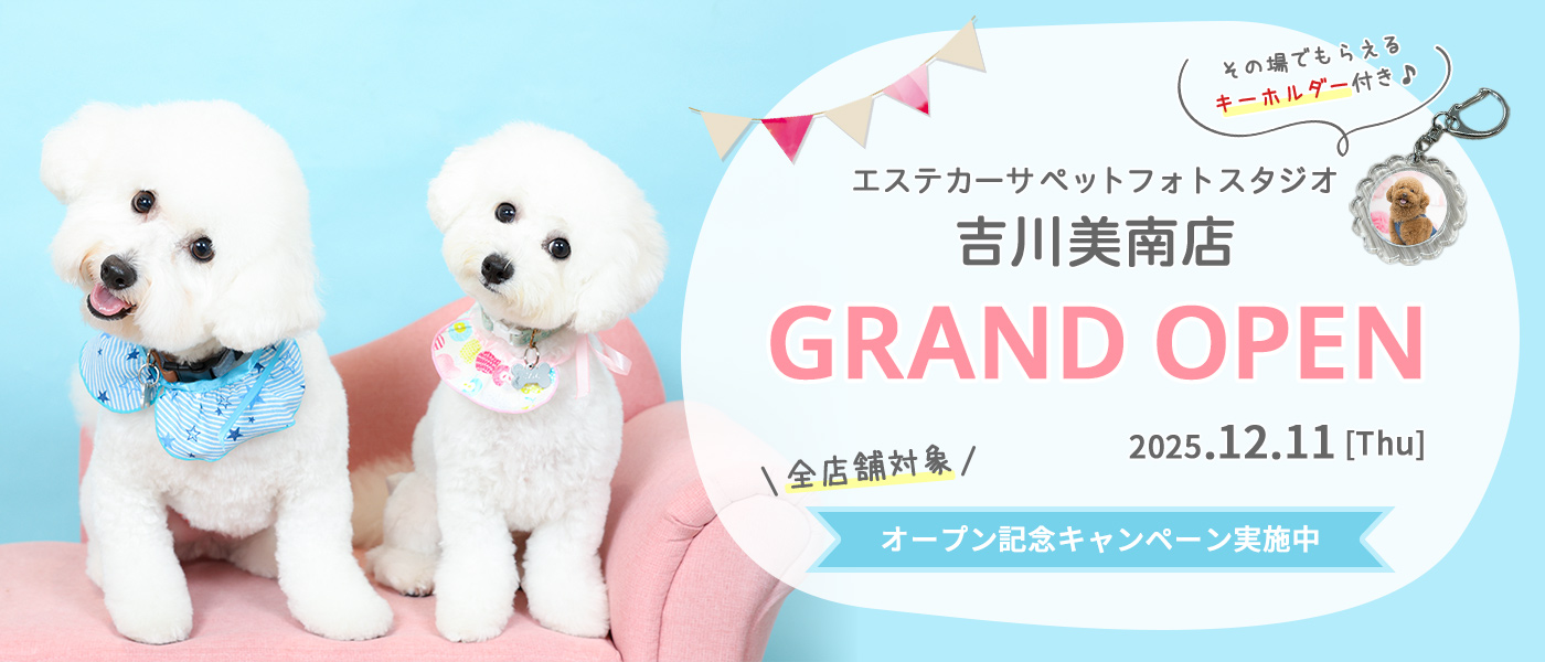 エステカーサペットフォトスタジオ