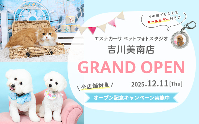 エステカーサペットフォトスタジオ