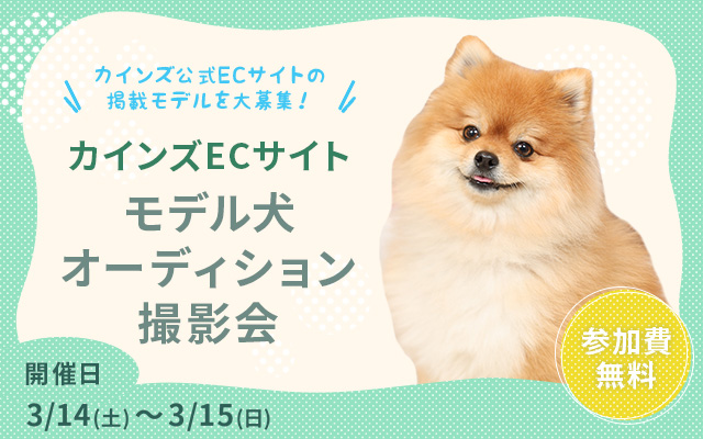 カインズECサイトモデル犬オーディション撮影会