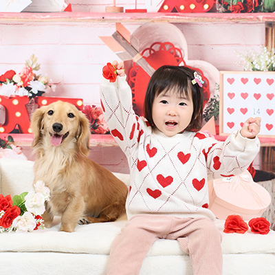 フォトギャラリー1