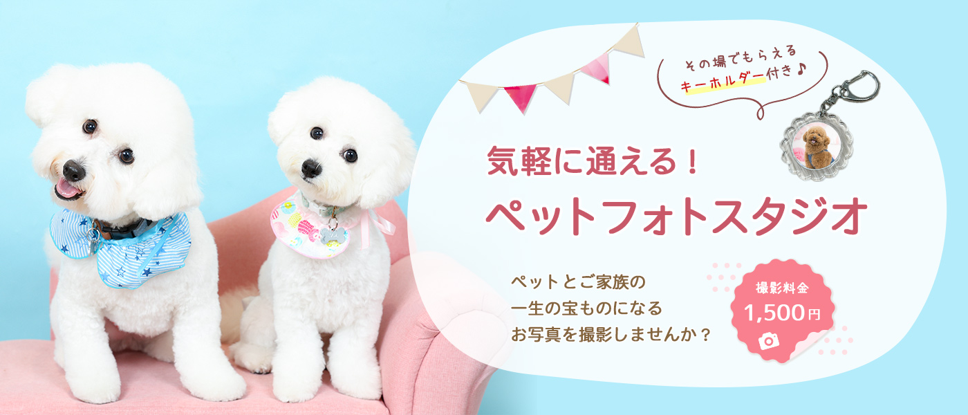 エステカーサペットフォトスタジオ