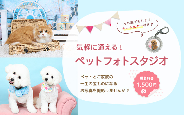 エステカーサペットフォトスタジオ